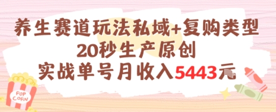 养生赛道玩法私域+复购类型，20秒生产原创实战单号月收入5k+-云网创