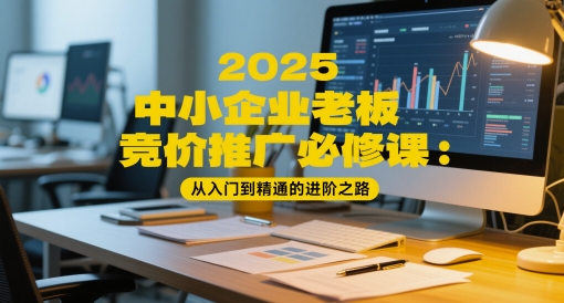 2025中小企业老板竞价推广必修课：从入门到精通的进阶之路-云网创