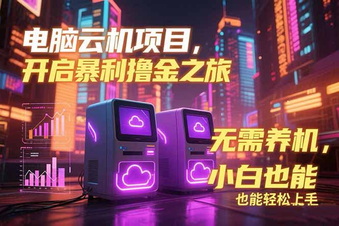 电脑云机项目 暴力撸金玩法，不需要养机 配置没有要求 单机100个窗口一…-云网创