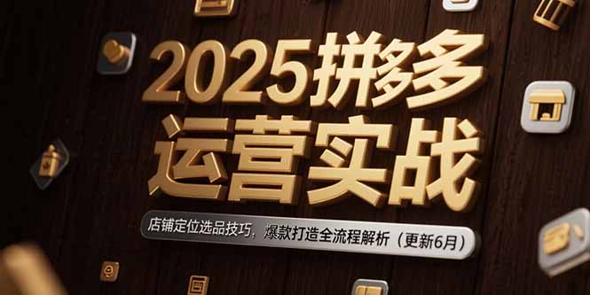 2025拼多多运营实战：店铺定位选品技巧，爆款打造全流程解析(更新6月-云网创