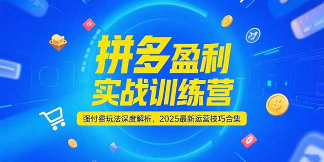 拼多多盈利实战训练营，强付费玩法深度解析，2025运营技巧合集-更新6月-云网创