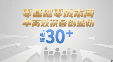 零基础零成本简单高效获客创业粉，一天引流30+-云网创