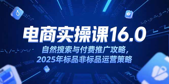 淘宝电商运营课16.0，自然搜索与付费推广攻略，2025年标品非标品运营策略-云网创