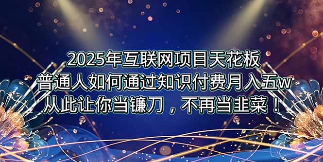2025年互联网项目天花板，普通人如何通过卖项目实现逆风翻盘，月入5W＋！-云网创