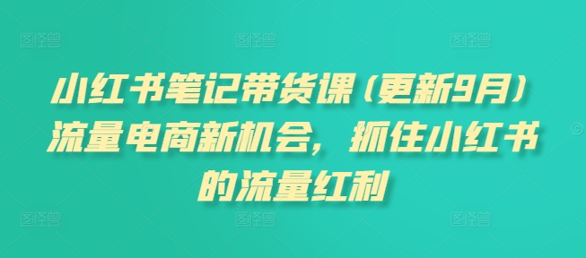 小红书笔记带货课(更新25年6月)流量电商新机会，抓住小红书的流量红利-云网创