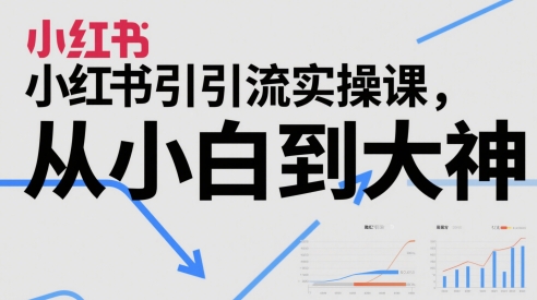 小红书引流实操课，从小白到大神-云网创