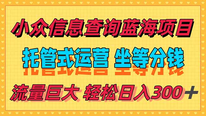 稳定日入300＋，小众信息查询蓝海项目，全程懒人式托管，解放你的时间-云网创