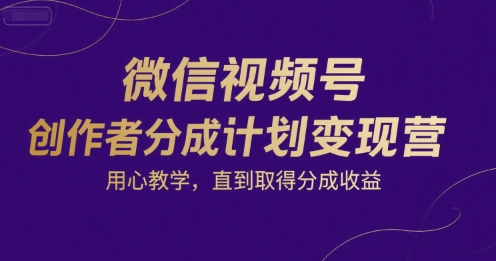 微信视频号创作者分成计划变现营，用心教学，直到取得分成收益-云网创