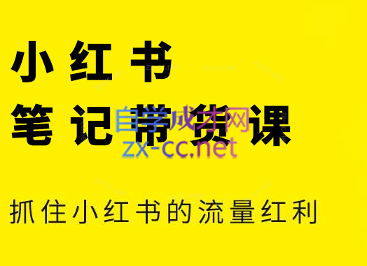 张宾·小红书笔记带货课(更新6月)-云网创