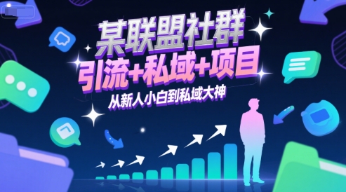 某联盟社群，引流+私域+项目，从新人小白到私域大神-云网创
