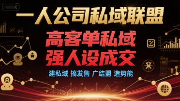 一人公司私域联盟，高客单私域，强人设成交，建私域 搞发售 广结盟 造势能-云网创