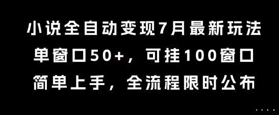 小说全自动变现7月玩法，单窗口50+，可挂100窗口，简单上手，全流程限时公布【揭秘】-云网创