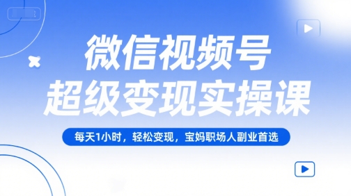 微信视频号超级变现实操课，每天1小时，轻松变现，宝妈职场人副业首选-云网创