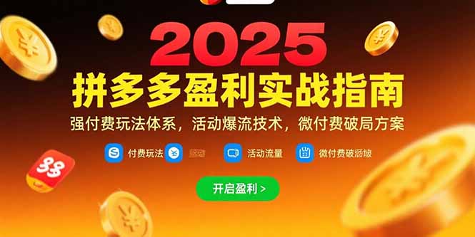 拼多多盈利实战指南，强付费玩法，活动爆流技术，微付费破局方案(更新7月-云网创