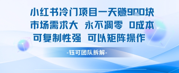 小红书冷门项目一天收益9张，市场需求大，0成本，可复制性强可以矩阵操作-云网创